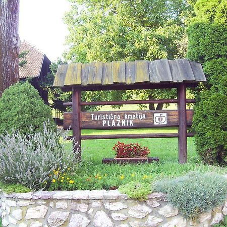 Guest House Turisticna Kmetija Plaznik Ljubno Экстерьер фото
