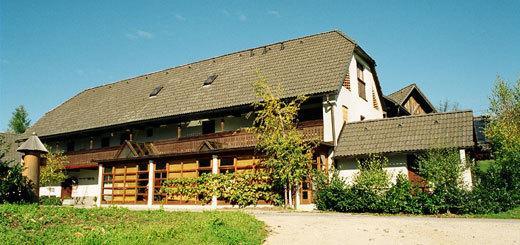 Guest House Turisticna Kmetija Plaznik Ljubno Экстерьер фото