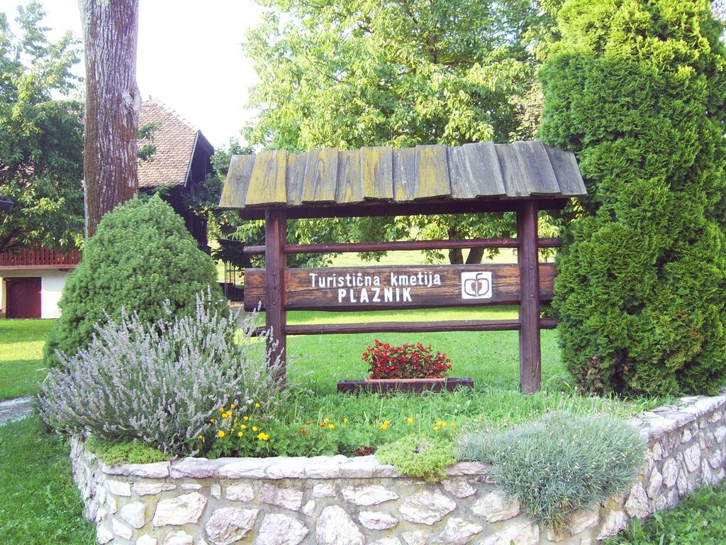 Guest House Turisticna Kmetija Plaznik Ljubno Экстерьер фото