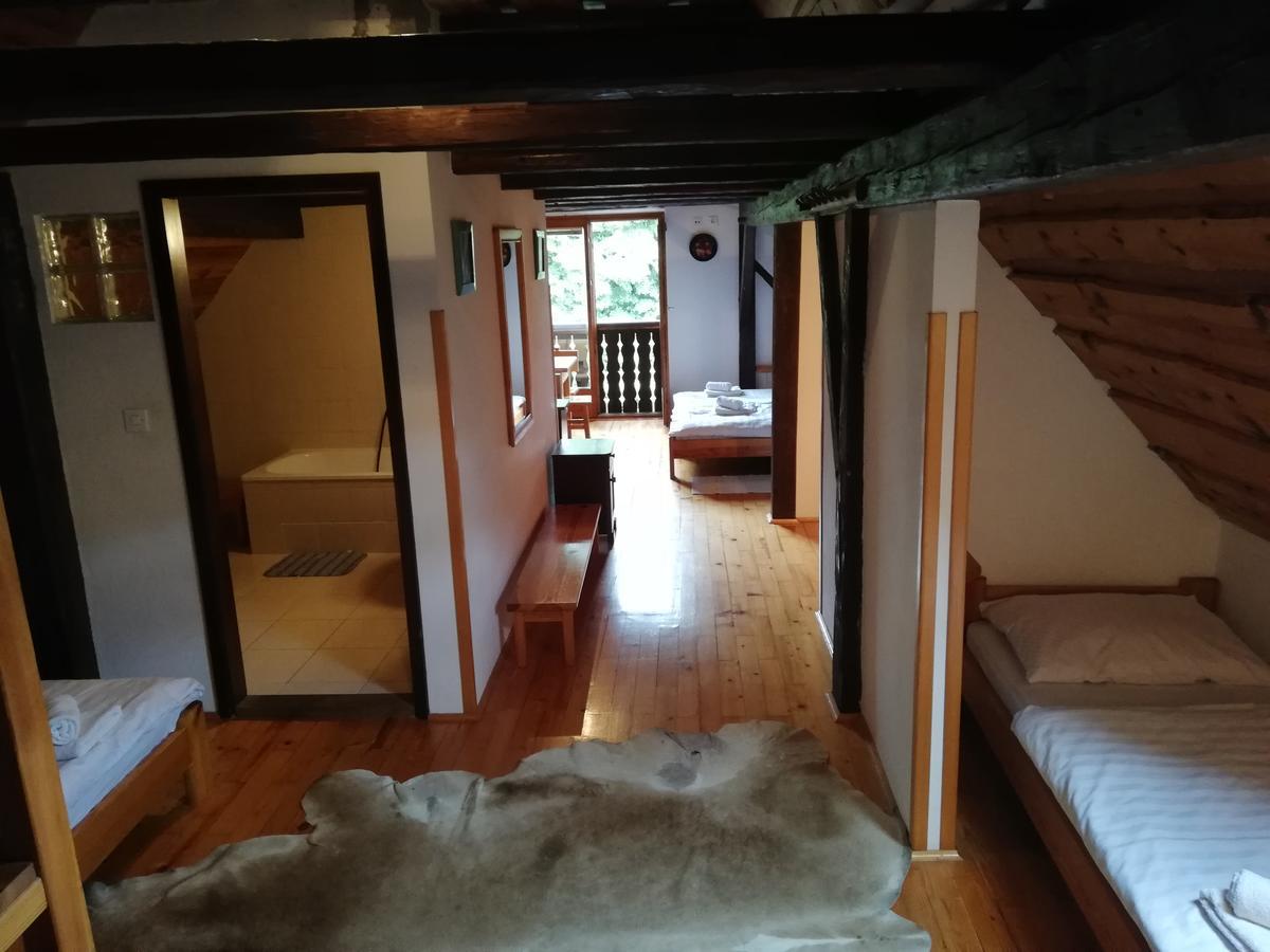 Guest House Turisticna Kmetija Plaznik Ljubno Экстерьер фото