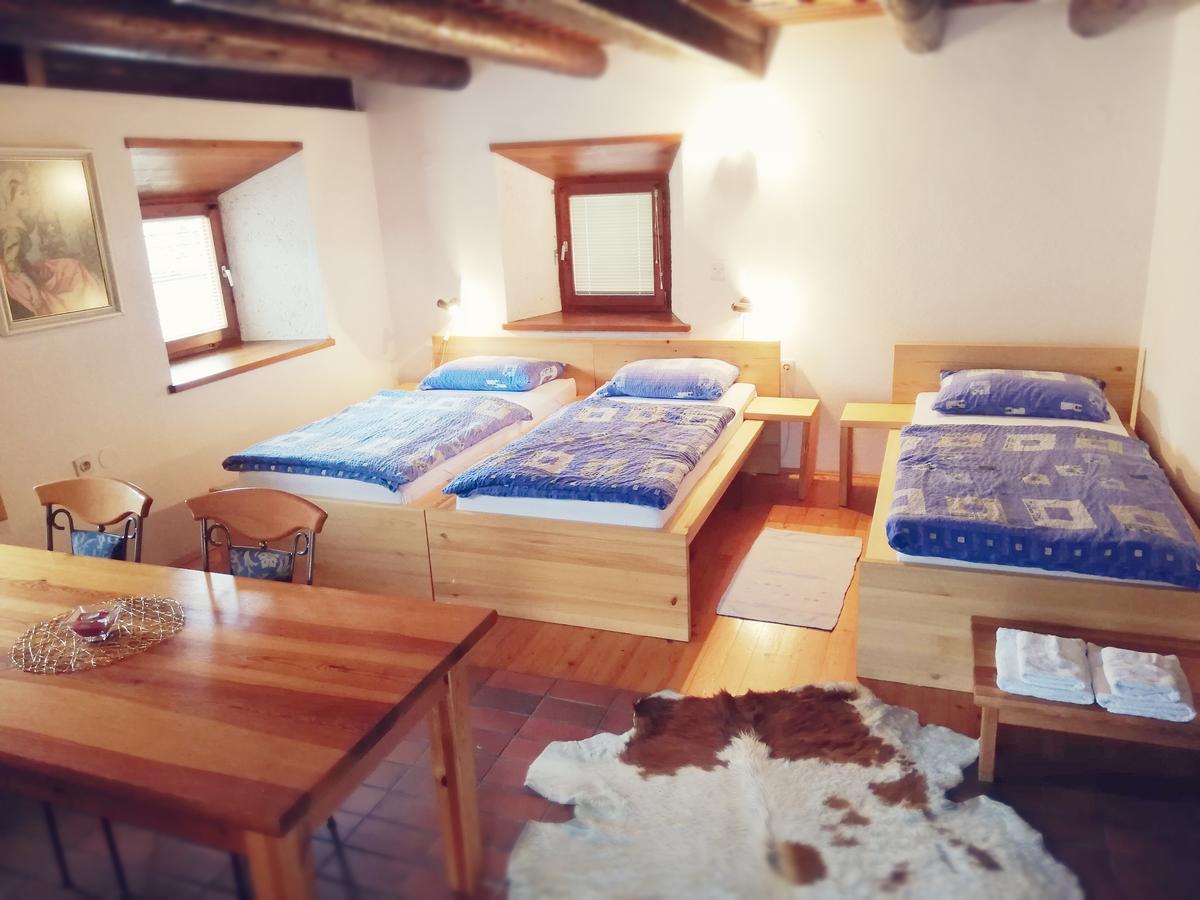 Guest House Turisticna Kmetija Plaznik Ljubno Экстерьер фото