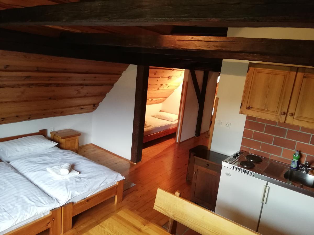 Guest House Turisticna Kmetija Plaznik Ljubno Экстерьер фото